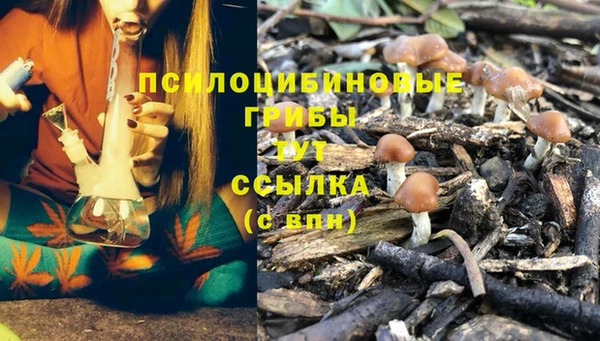 кокаин премиум Алексеевка